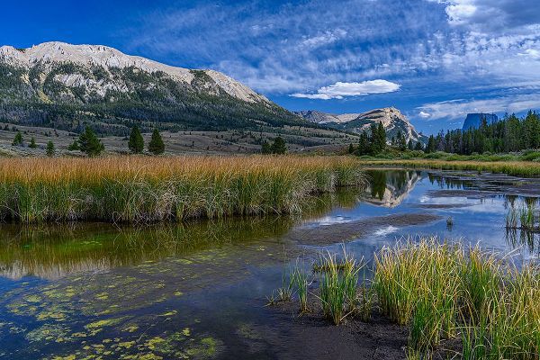 Garber, Howie 아티스트의 USA-Wyoming-White Rock Mountain and Squaretop Peak above Green River wetland작품입니다.